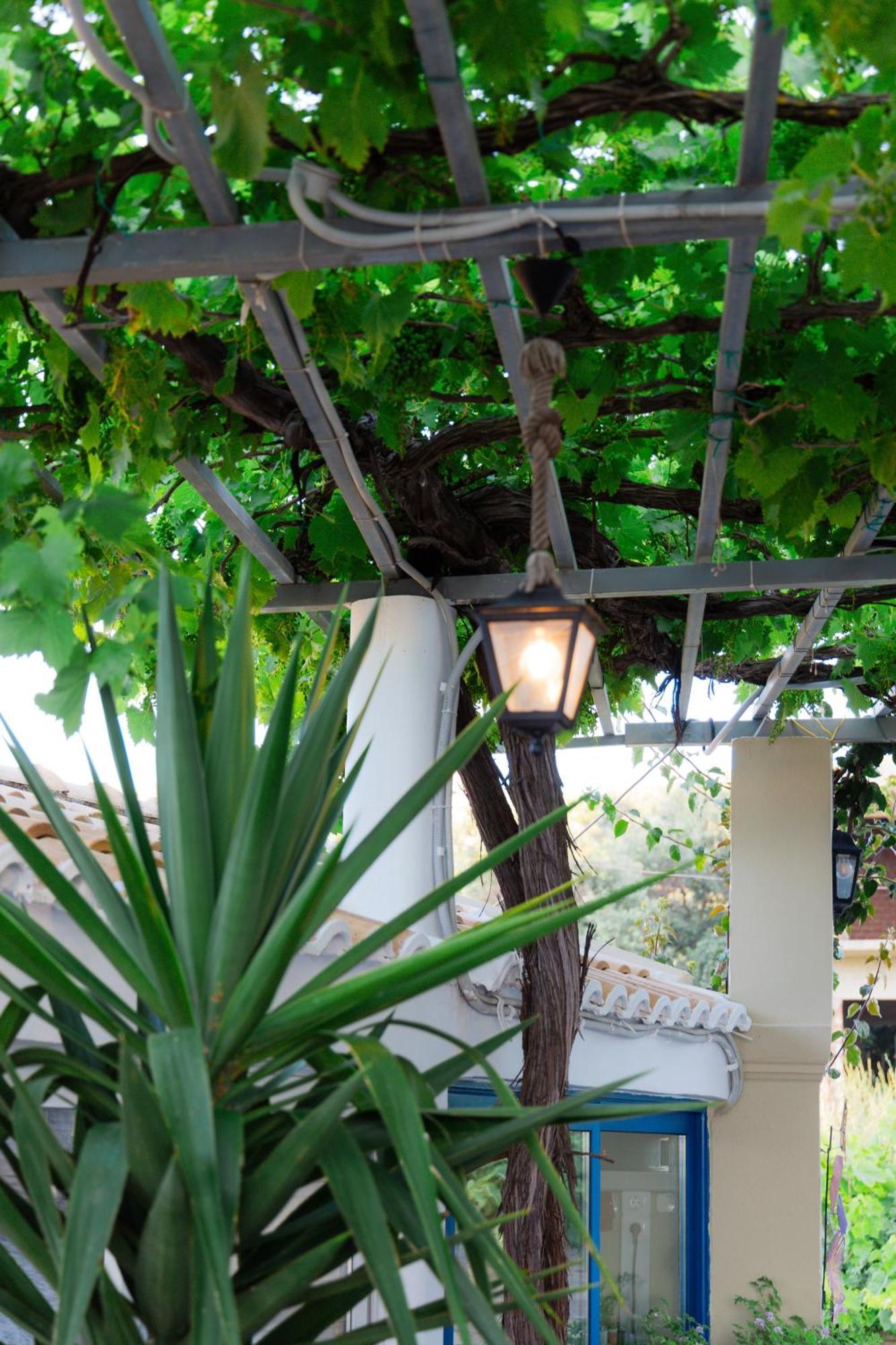 Sunsea Wellness Resort Agios Stefanos Avliotes  Exterior foto