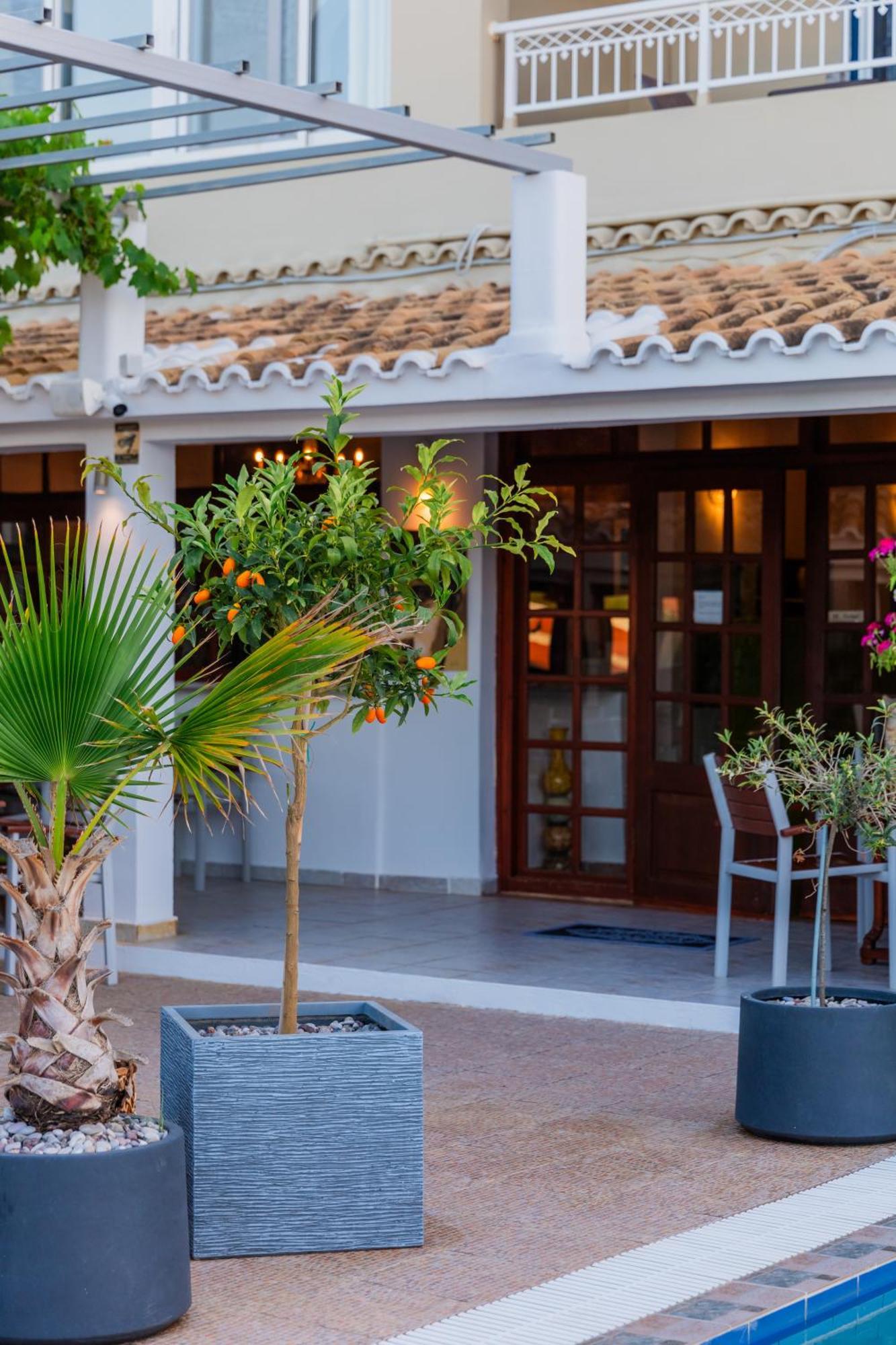 Sunsea Wellness Resort Agios Stefanos Avliotes  Exterior foto